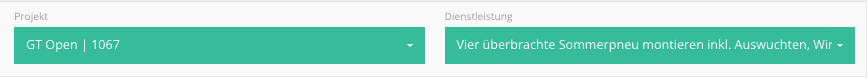 Auswahlfelder Projekt und Dienstleistung